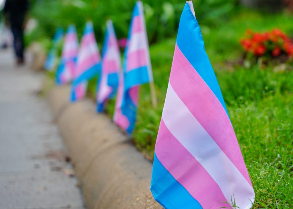 Standing with Trans Youth Amid Rising Threats
